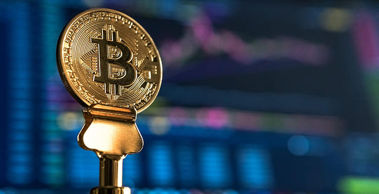 Exploring the World of Trading with Exness Broker Exploring the World of Trading with Exness Broker
