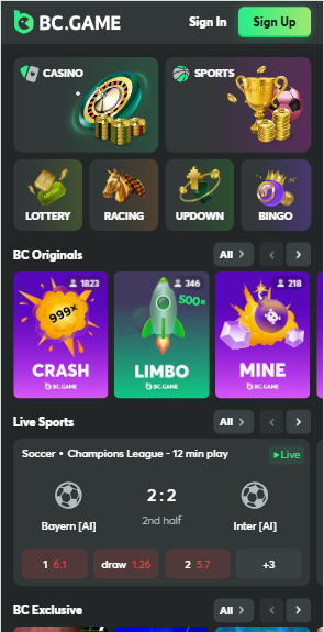 Comprehensive Guide to BC Game Withdrawal Methods