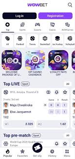 VIP ойыншылар Ойын индустриясындағы ерекшеліктер мен құқықтар